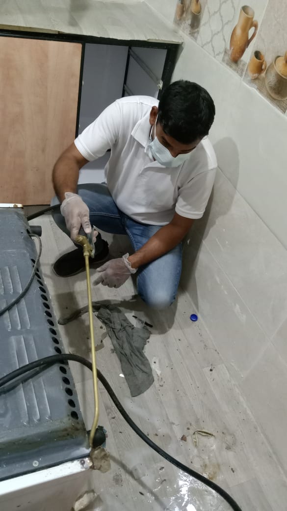 Novaroots Project 54